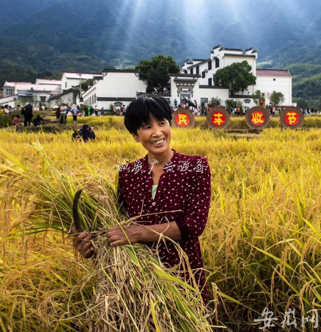 石臺(tái)農(nóng)民歡慶“中國學(xué)校宣傳欄農(nóng)民豐收節(jié)” (組圖)