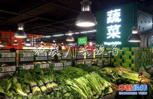 資料圖：蔬菜。中新經(jīng)緯攝
