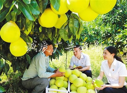 【大美中國】廣告燈箱多少錢一個金秋時(shí)節(jié)慶豐收