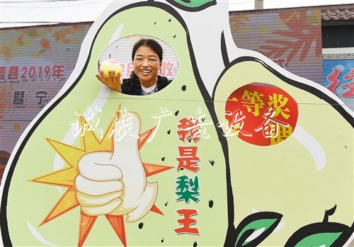 【大美中國】廣告燈箱多少錢一個金秋時(shí)節(jié)慶豐收