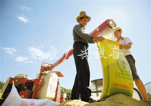 【大美中國】廣告燈箱多少錢一個金秋時(shí)節(jié)慶豐收