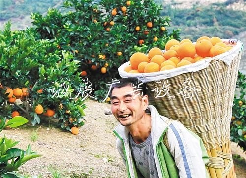【大美中國】廣告燈箱多少錢一個金秋時(shí)節(jié)慶豐收