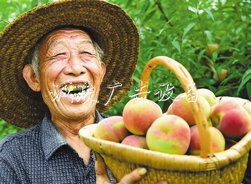【大美中國】廣告燈箱多少錢一個金秋時(shí)節(jié)慶豐收