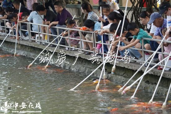 國慶假期，合肥逍遙垃圾箱津公園游人如織(組圖)