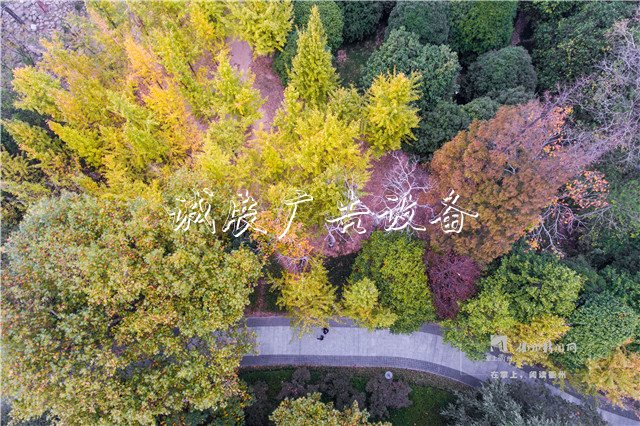 我市開展“垃圾不落地”試點(diǎn)工作，三個(gè)試文化宣傳欄點(diǎn)區(qū)域?yàn)椋核らT歷史街區(qū)、孔子文化公園、西區(qū)草坪公園