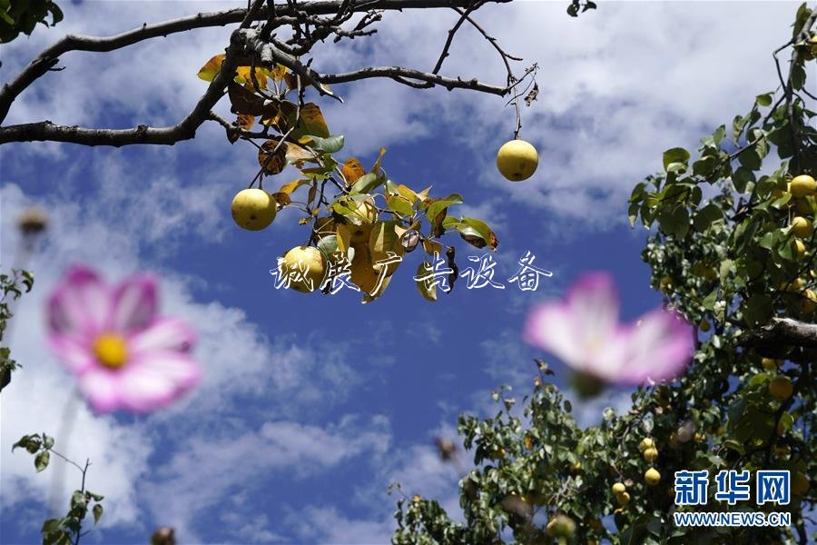 2020國考時間出爐：垃圾箱10月15日起報名 11月24日筆試