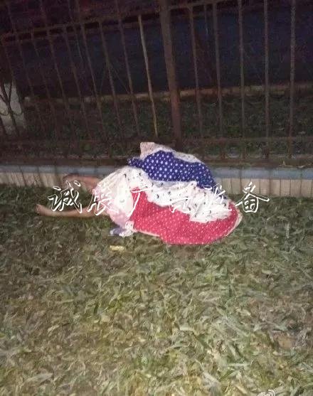 嚇人！這是什么垃圾？打文化宣傳欄開(kāi)垃圾箱后差點(diǎn)兒魂兒也沒(méi)了