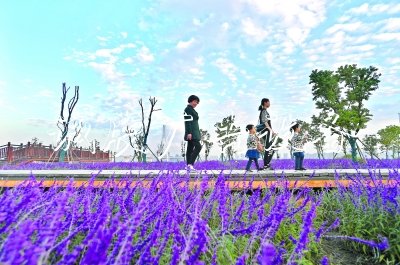 周末天氣宜賞秋學校宣傳欄 弱冷空氣下周到