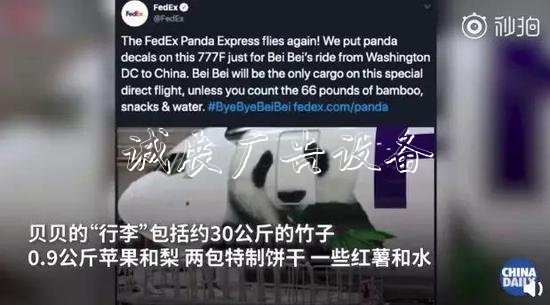 旅美大熊貓回家聽不懂學(xué)校宣傳欄中文咋辦？網(wǎng)友操碎了心