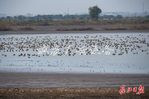 濕地保護得好不社區(qū)宣傳欄好，主要是看鳥