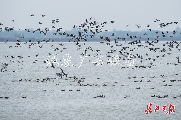 濕地保護得好不社區(qū)宣傳欄好，主要是看鳥