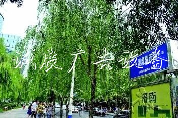 “白東西，綠南北”，宣傳欄廠家這句老北京暗語(yǔ)你知道嗎