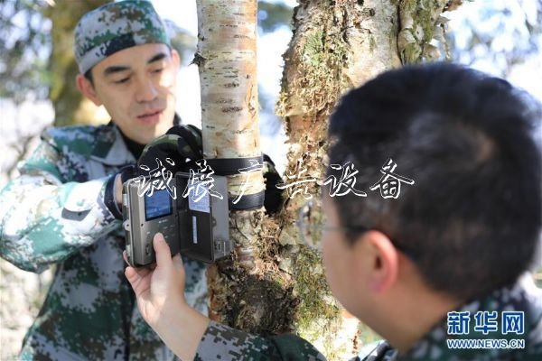 森林巡護員:野生路牌大熊貓棲息地守護者