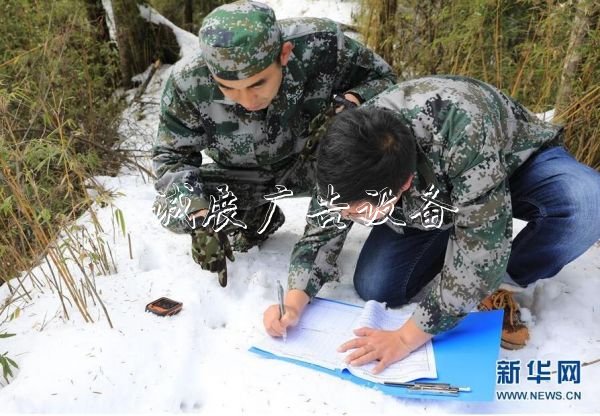 森林巡護員:野生路牌大熊貓棲息地守護者