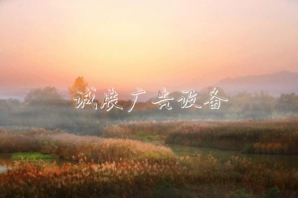西溪濕地造福杭州路燈燈箱城，他見證10年巨變