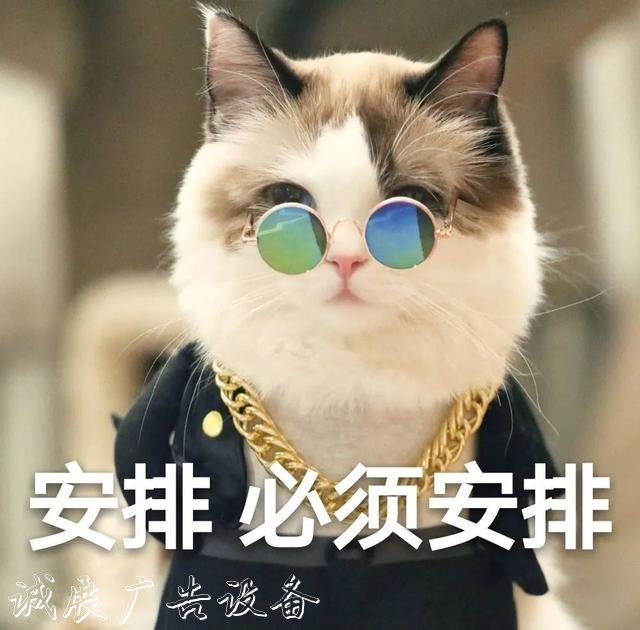 【上觀新聞】就地取材，寶山區(qū)這群環(huán)衛(wèi)工“借”雨水沖刷垃圾箱房，節(jié)水又環(huán)保