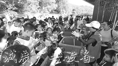 莆田破解垃圾分類三大燈箱難題，鞏固文明城市成果