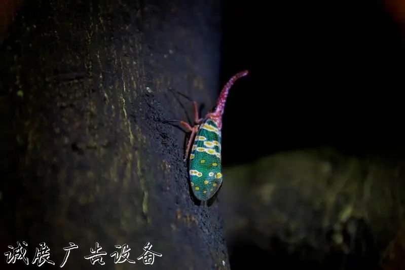 霓虹璀璨的不夜城里，太陽(yáng)能垃圾桶讓我們一起守護(hù)這片黑暗