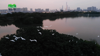霓虹璀璨的不夜城里，太陽(yáng)能垃圾桶讓我們一起守護(hù)這片黑暗
