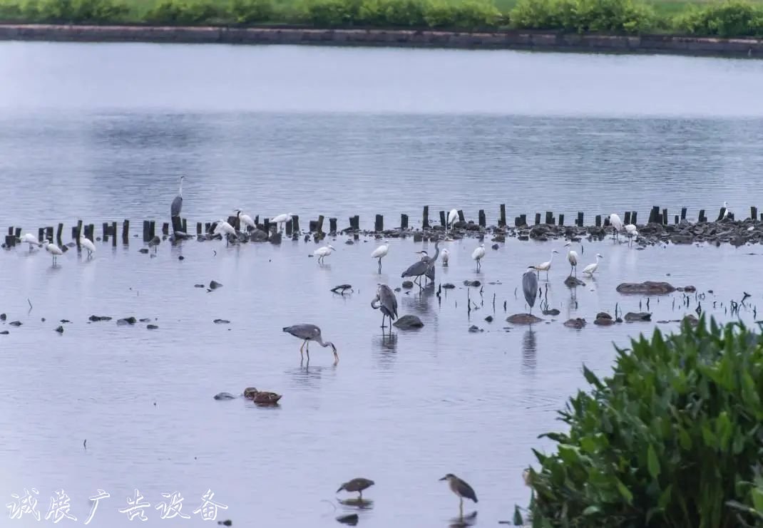 霓虹璀璨的不夜城里，太陽(yáng)能垃圾桶讓我們一起守護(hù)這片黑暗