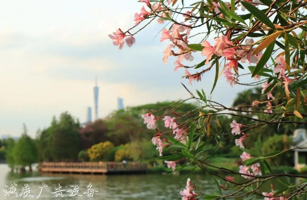 霓虹璀璨的不夜城里，太陽(yáng)能垃圾桶讓我們一起守護(hù)這片黑暗