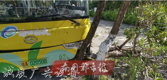 突發(fā)！海甸島一公交接連撞社區(qū)宣傳欄倒路牌和兩棵樹(shù)，還有一輛轎車…