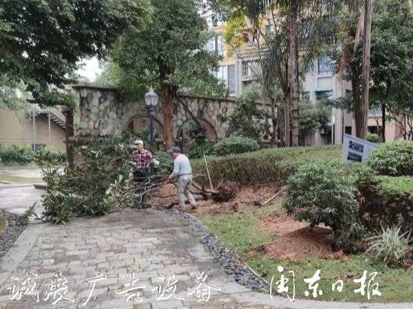 首批82個垃圾分類屋春指路牌燈箱節(jié)前建成！有你家小區(qū)嗎？