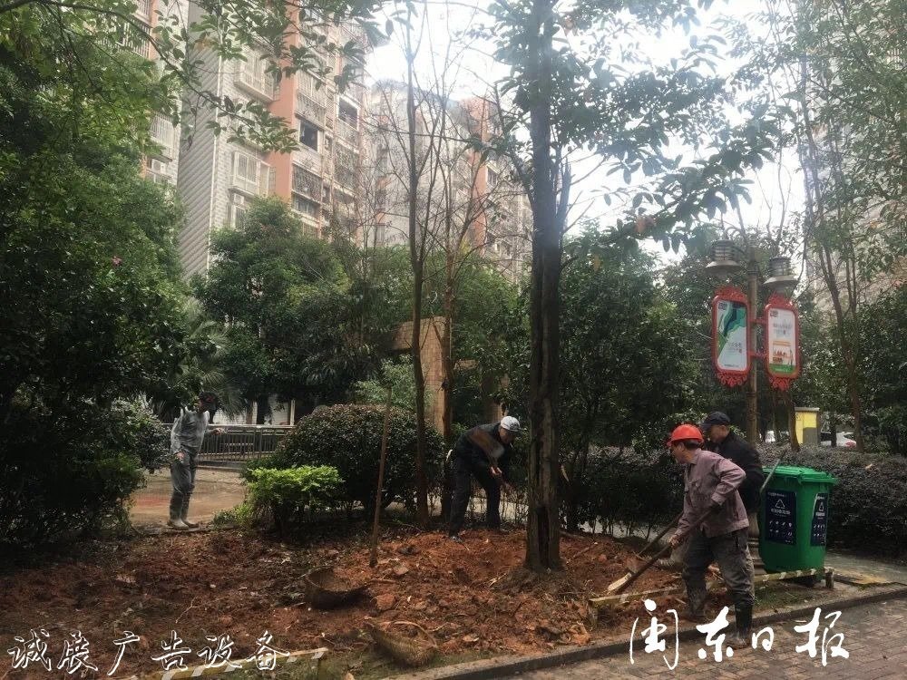 首批82個垃圾分類屋春指路牌燈箱節(jié)前建成！有你家小區(qū)嗎？