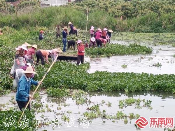 莆田仙游楓亭鎮(zhèn)打響河分類(lèi)垃圾亭道水葫蘆“殲滅戰(zhàn)” 維護(hù)