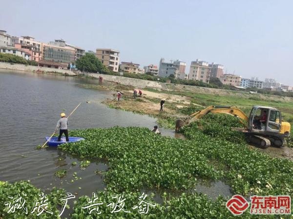 莆田仙游楓亭鎮(zhèn)打響河分類(lèi)垃圾亭道水葫蘆“殲滅戰(zhàn)” 維護(hù)